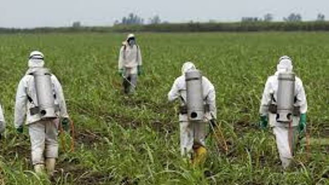 Primer juicio contra un herbicida de Monsanto en EE.UU.