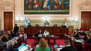 En Diputados de Santa Fe hay casi un bloque cada dos legisladores