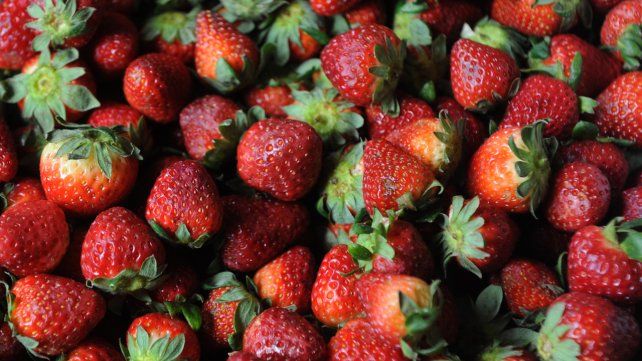Siempre tener a mano alternativas frescas como ensaladas y frutas, para que si nos juntamos durante todo el día y estamos picoteando tengamos una opción saludable.