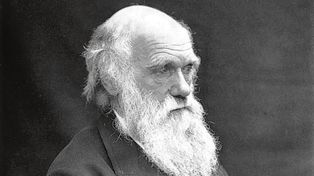 El trabajo de Darwin en Argentina, clave para la teoría de la evolución