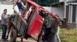 Gualeguaychú: denuncian que usaron un caballo para arrastrar un auto Gualeguaychú: denuncian que usaron un caballo para arrastrar un auto