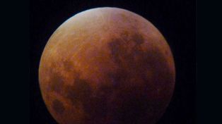 Con excelentes condiciones atmosféricas se pudo ver el Eclipse Total de Luna en Santa Fe