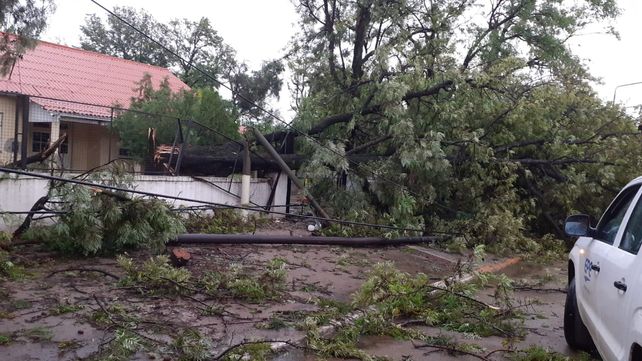 Una calle de Ceres tras la tormenta. la localidad del departamento San Cristóbal fue una de las más afectadas por el temporal de viento y lluvia.