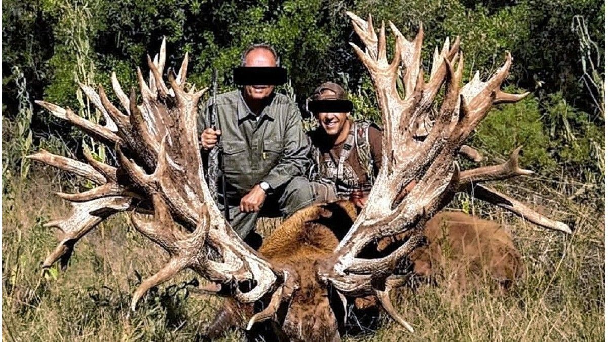 Allanaron un coto de caza de Gualeguaychú por presunto contrabando de fauna silvestre