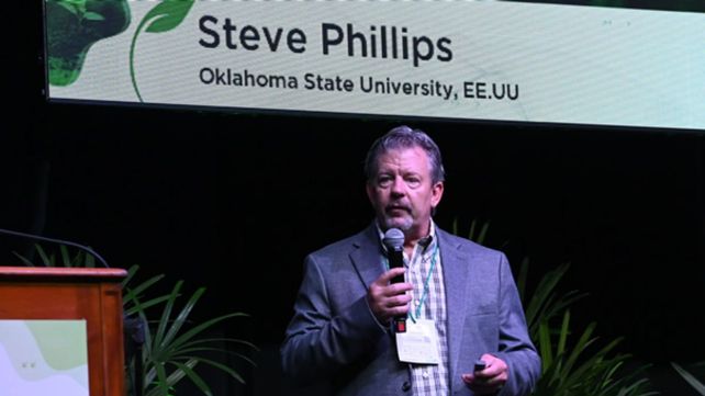 Steve Phillips