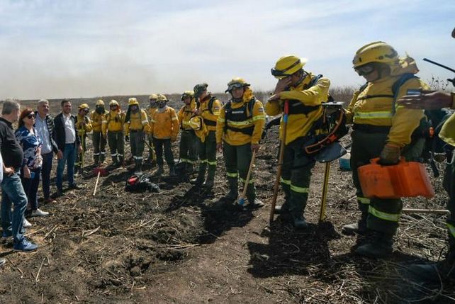 El proyecto de ley de Mirabella propone también cargar el peso del Código Penal a quienes destruyan ambientes naturales con otros métodos o