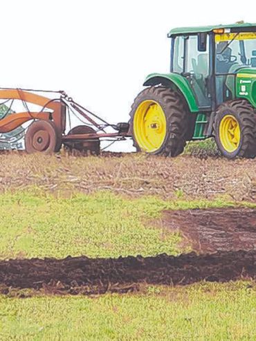 Conservación de suelos: beneficios para el agro y la sociedad