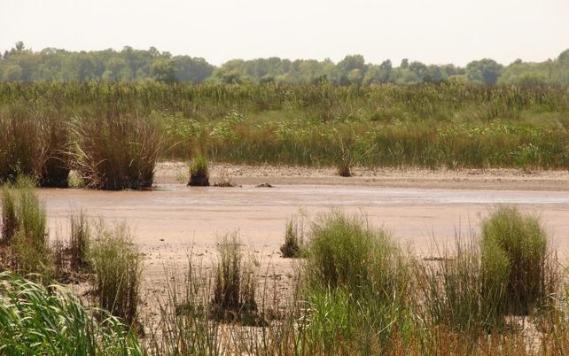 Parque Nacional Ciervo de los Pantanos.&nbsp;