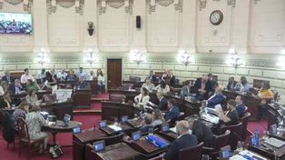 El proyecto fue sancionado por unanimidad en Diputados.