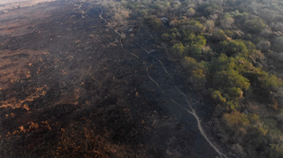 La causa civil por los incendios en las islas tiene a más de 40 imputados.