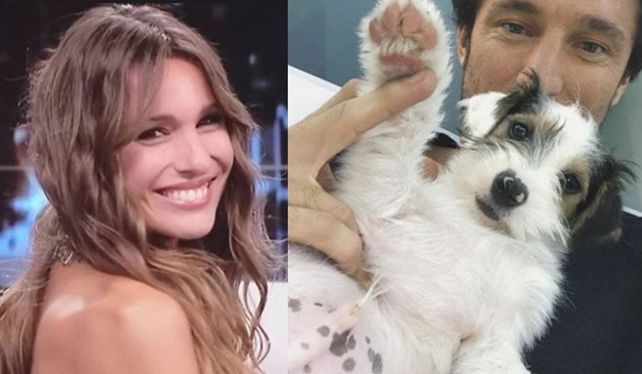 ¿Osvaldo es el culpable de la crisis Pampita-Pico?