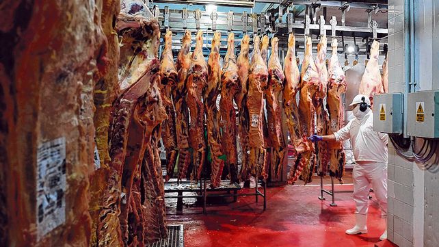 Demanda externa. La recomposición de las exportaciones argentinas de carne comenzó a afianzarse tanto en volumen como en las cotizaciones.