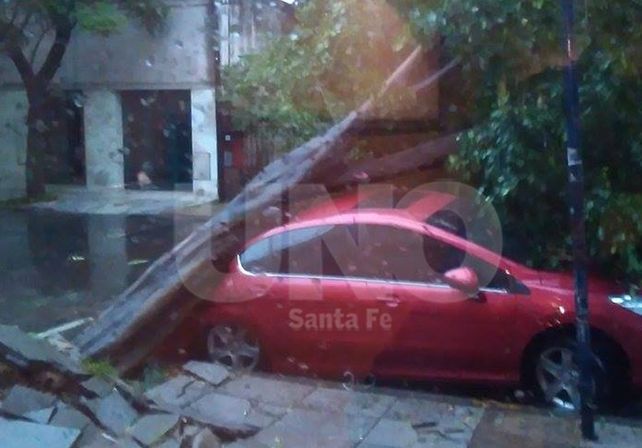 Un árbol cayó arriba de un auto y lo abolló en  Debora Saavedra Alegre 19 de febrero de 2016 9:53 9 de Julio