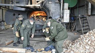 Clorhidrato de cocaína, marihuana, éxtasis, pasta base de cocaína, MDMA, entre otros fueron los estupefacientes incinerados.