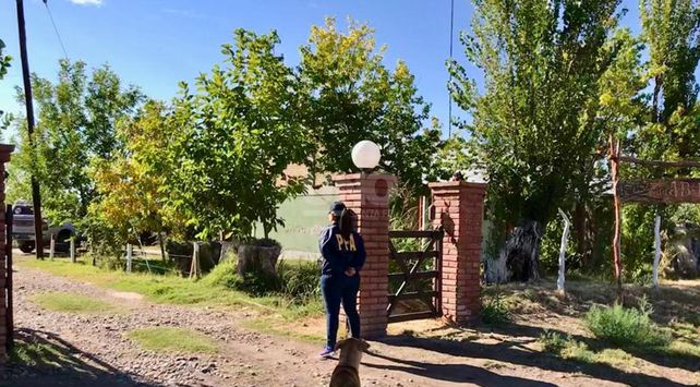 El viñedo en la provincia de Mendoza.