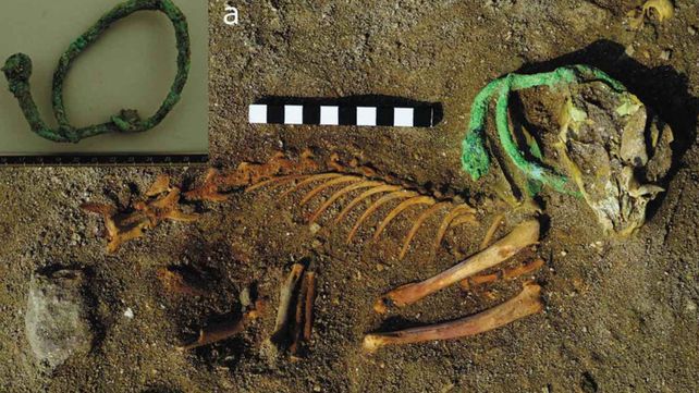 Los datos sobre el descubrimiento del cementerio de mascotas más antiguo del mundo fueron publicados en la revista World Archaeology.&nbsp;