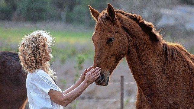 El autoconocimiento y la sanación en contacto con los caballos