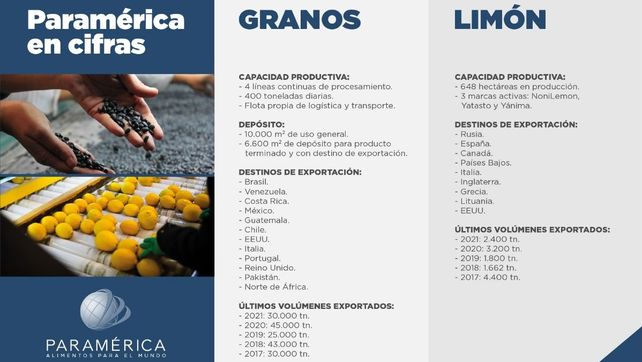 De Tucumán al mundo: la agroexportadora que conquistó el mercado de poroto negro y ahora apuesta a diversificarse