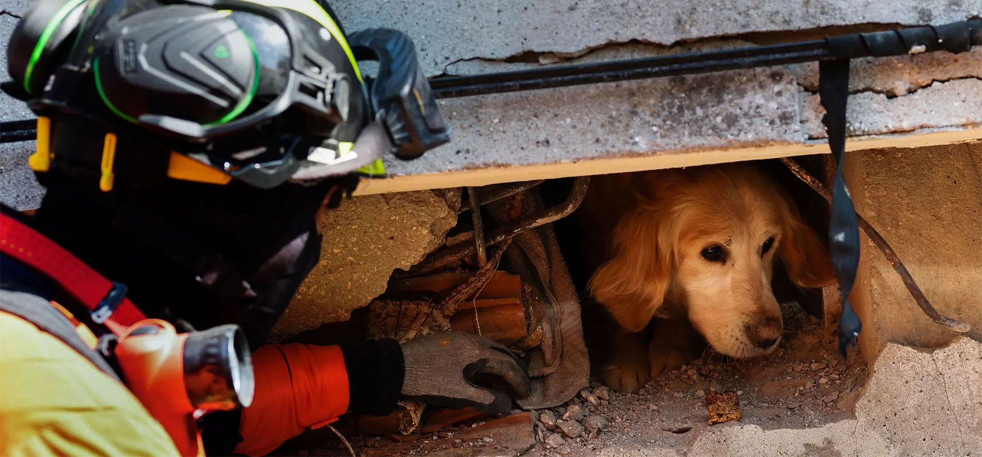 Un miembro del equipo de rescate portugués rescata a un perro llamado Tarcin en un edificio que se derrumbó durante los terremotos, Antakya, Turquía. Fotografía: João Relvas/EPA