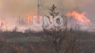 Casi 900 incendios en el año: el 99% provocados por las personas