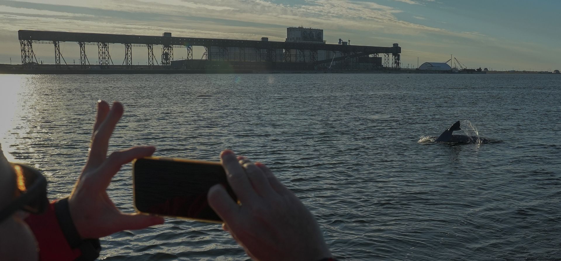 Geoff York, director de investigación de Polar Bears International, toma una fotografía de una ballena beluga cuando emerge, el domingo 4 de agosto de 2024, en el río Churchill, cerca de Churchill, Manitoba. (Foto AP/Joshua A. Bickel) Geoff York, director de investigación de Polar Bears International, toma una fotografía de una ballena beluga cuando emerge, el domingo 4 de agosto de 2024, en el río Churchill, cerca de Churchill, Manitoba. (Foto AP/Joshua A. Bickel)
