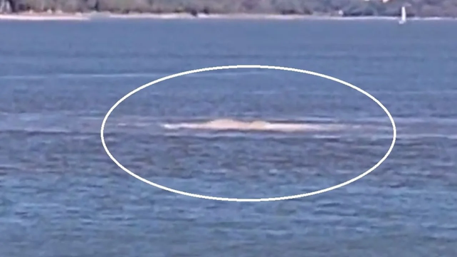 La imagen que se viralizó en redes sociales del lago San roque en Villa Carlos Paz