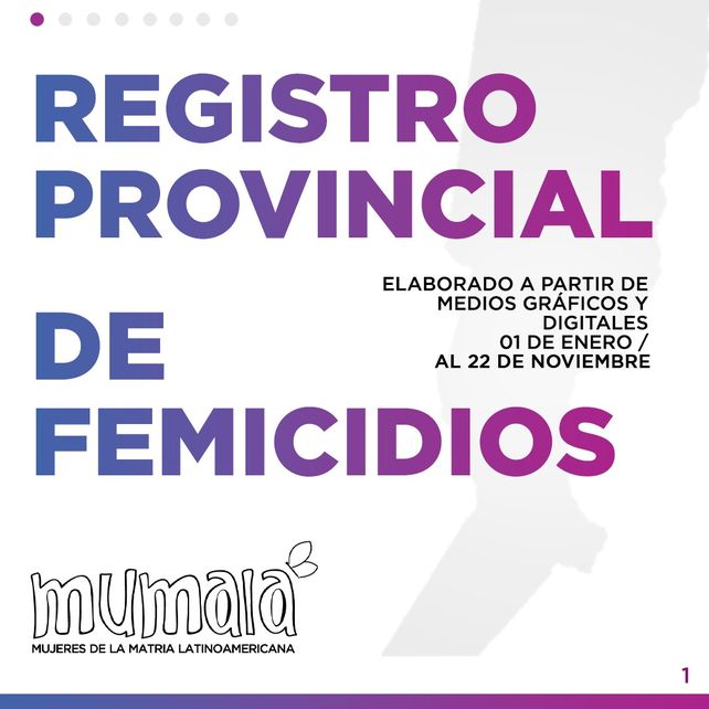Mumalá publicó los índices de femicidios en Santa Fe 