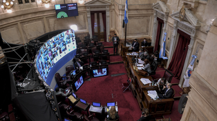 La titular del Senado, Cristina Fernández de Kirchner, presidió la sesión porla Reforma Judicial.&nbsp;