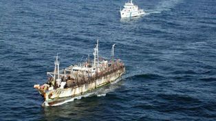 Pesqueros extranjeros depredan los bancos de langostino y calamar del Mar Argentino