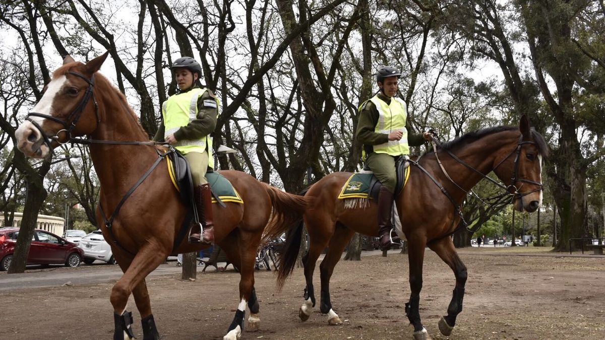 Lifschitz calificó de promisorio el desembarco de Gendarmería en la ...