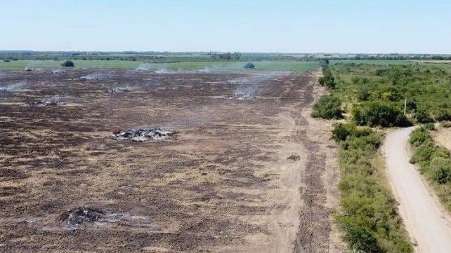 La Secretaría de Ambiente de Entre Ríos inició acciones administrativas contra los responsables de quemas en un desmonte ubicado en el departamento de Nogoyá