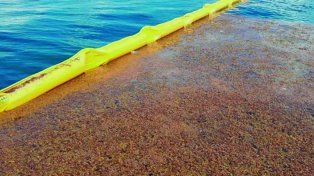 Estas barreras permiten retener el sargazo u otras algas&nbsp;mientras que dejan pasar el agua a través suyo mediante su red.