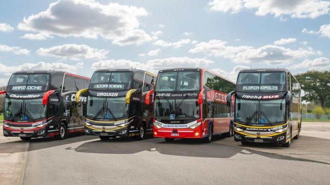 Grupo Flecha incorpora más de 170 nuevas unidades para sus servicios