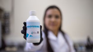 La UNR producirá un medicamento para el tratamiento de VIH en embarazadas y niños