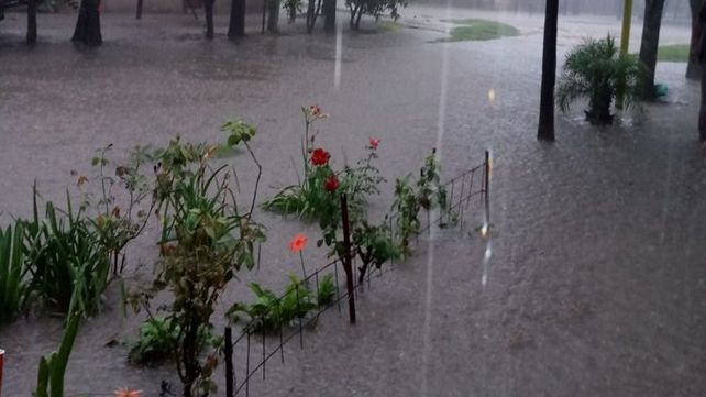 Imágenes de la ciudad de Avellaneda.