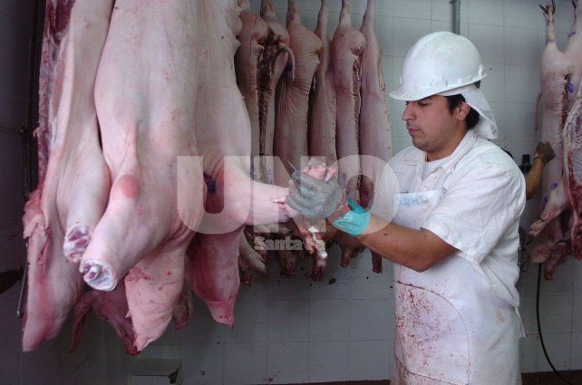 Denuncian que el kilo de cerdo aumenta un 1000% del productor a la góndola