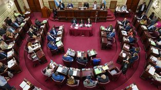 La Cámara baja recibe el proyecto con media sanción del Senado provincial.