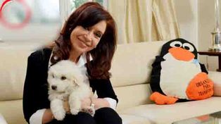 ¿Qué es la extraña figura que aparece detrás de CFK?