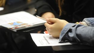Economía, ciencias naturales y sociales, las orientaciones elegidas en el secundario