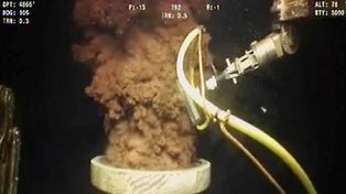 El derrame de crudo de 2010 en el golfo de México dejó serias secuelas