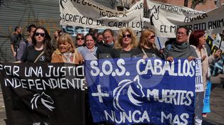 SOS Caballos marcha pacíficamente hacia tribunales