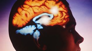 La l&iacute;nea que separa el odio del amor tambi&eacute;n es delgada en el cerebro