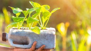 Empresa rosarina quiere nutrir los cultivos de todo el Cono Sur para el ciclo 2025/26