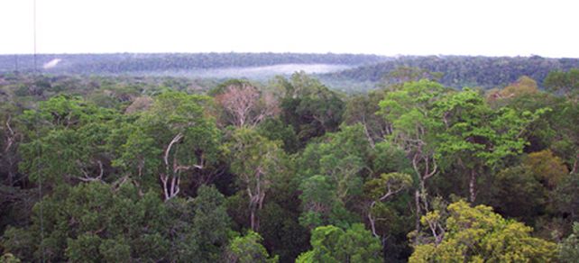 Ind&iacute;genas de Am&eacute;rica Latina acuerdan cruzada en defensa de la Amazonia