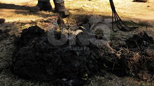 Cloacas para Villa del Parque y Barranquitas