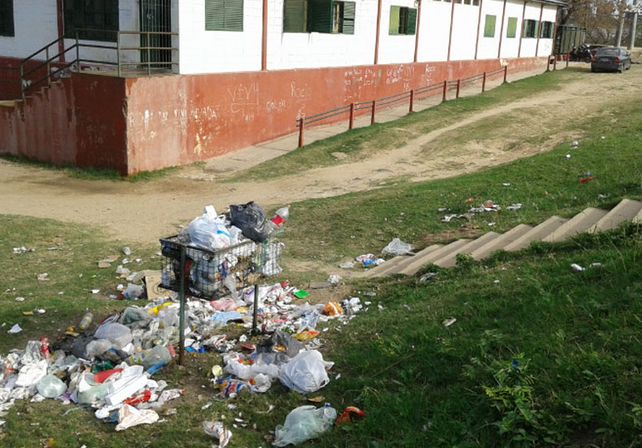 Una escuela de Alto Verde en estado de alerta y dieta fría por presencia de roedores
