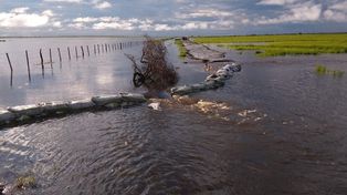 La Nación declaró la emergencia hídrica en las zonas inundadas del NOA y el Litoral