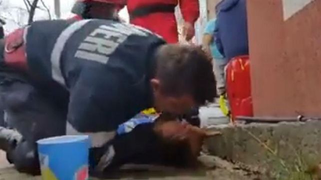 El bombero rescató al perro de un incendio y lo reanimó boca a boca.&nbsp;