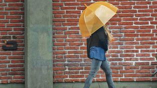 El Servicio Meteorológico Nacional (SMN) pronostica un fin de semana con temperaturas templadas y algo húmedas, cielos parcialmente nublados.
