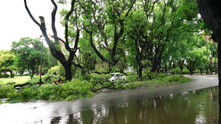 Crecen las consultas por seguros contra inundaciones en Rosario ante la llegada de El Niño